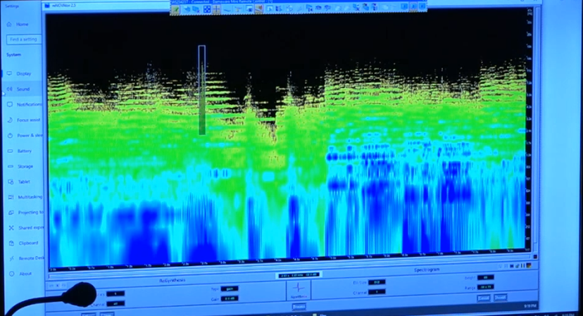 A photo of Spectral Noise Edit - DAW screenshot